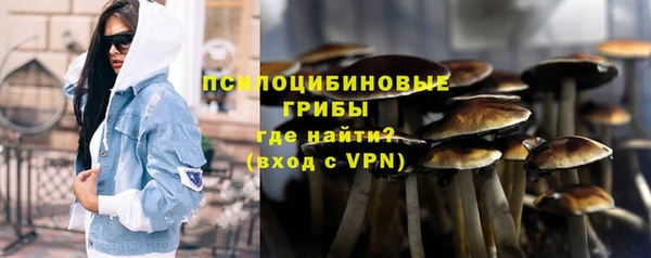 ПСИЛОЦИБИНОВЫЕ ГРИБЫ Алексин