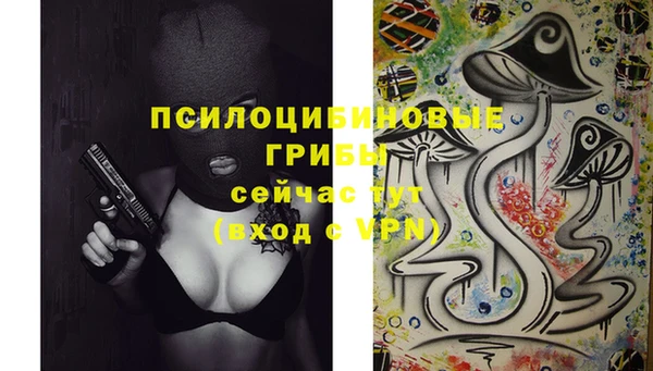 прущий лед Алексеевка