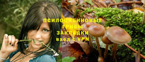 ПСИЛОЦИБИНОВЫЕ ГРИБЫ Алексин