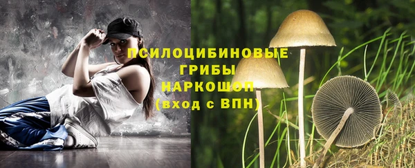 прущий лед Алексеевка