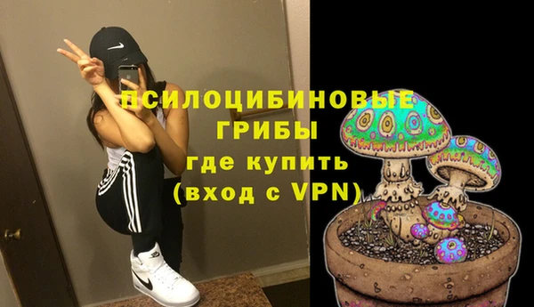 прущий лед Абаза