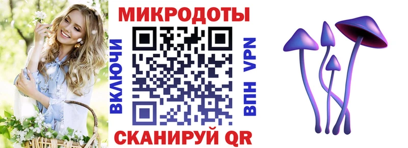 Галлюциногенные грибы MAGIC MUSHROOMS  blacksprut ТОР  Катайск  как найти закладки 